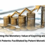 Dormant Patent Monetization, Monetizing Dormant Patents, Expiring Patent Monetization